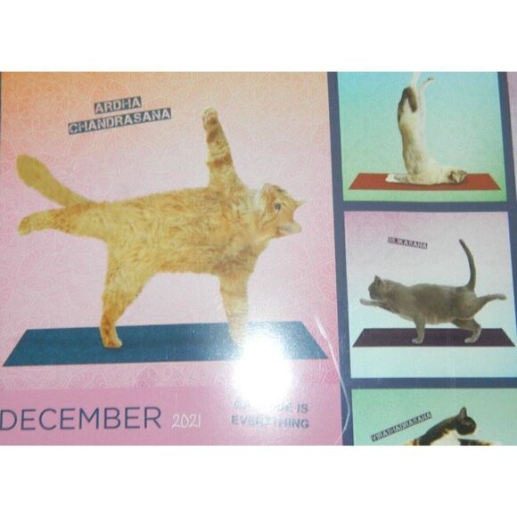 Cat Yoga Fitness Flexibility 2021 Wall Calendar TF Publishing 12 x 12. WALL ART - Picture 3 of 7